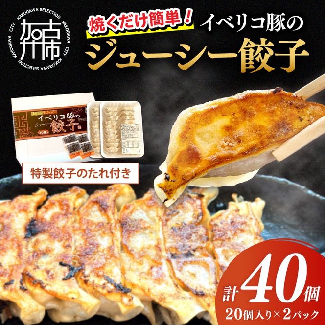 大西食品「イベリコ豚のジューシー餃子」《 ギョーザ 焼くだけ 簡単 イベリコ豚 ベジョータ 兵庫県 加古川市 》【2401I15301】