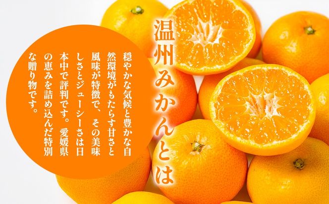 【先行予約】浅野農園の温州みかん 訳あり計10kg ※離島への配送不可（2026年12月上旬～12月中旬頃に順次発送予定）IKTAC005
