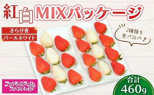 甘い白イチゴ パールホワイト と 静岡品種 きらぴ香の 紅白MIXパッケージ 230g×トレー2枚 計460g | いちご 苺 果物 静岡県 食べ比べ 2種類 ※2026年1月上旬〜4月中旬頃に順次発送予定 ※北海道・沖縄・離島への配送不可
