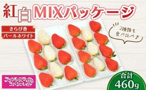 甘い白イチゴ パールホワイト と 静岡品種 きらぴ香の 紅白MIXパッケージ 230g×トレー2枚 計460g ｜ いちご 苺 果物 静岡県 食べ比べ 2種類 ※2026年1月上旬～4月中旬頃に順次発送予定 ※北海道・沖縄・離島への配送不可