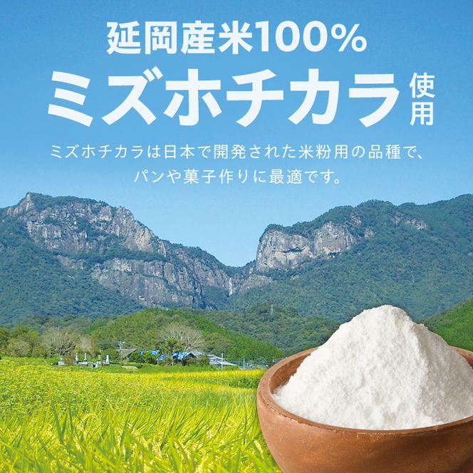 『こめの粉 雷粉』ミズホチカラ(パン・菓子用)500g×2袋 計1kg N194-YA0527