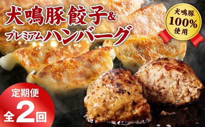 G5390 【泉佐野ブランド豚】犬鳴豚餃子 75個／手作りプレミアムハンバーグ（10個入り） 全2回【国産 豚肉 ぶたにく 定期便 食べ比べ 犬鳴ポーク 焼くだけ 人気 総菜 冷凍】