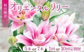 ユリ オリエンタルリリー 選べる 5本 7本 10回定期便 花 花束 お花 ゆり プレゼント 贈答 ギフト 贈り物 誕生日 お祝い 母の日 父の日 供花 献花 お見舞い 植物 インテリア 季節限定 定期 つぼみ 大輪 ピンク 白 福田園芸 メッセージカード 高級 切り花 香り ブーケ ウェディング エレガント 優美 安芸市 高知県