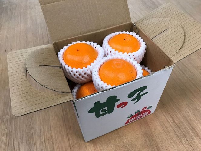 ［8箱セット］甘っ子 小玉 ハウス せとか 9玉入 × 8箱 手さげ箱 南泰園 BS175