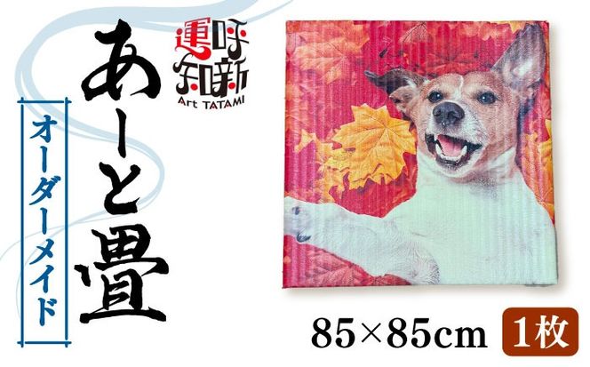 ymszEɂЂƂ I[_[Ch A[g 1   s / LЂȂ[AEDC003]