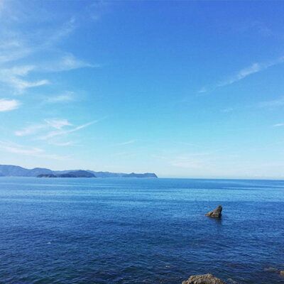 C6025n_まるとも海産【冷蔵】特選 茹でたて 釜揚げしらす 木箱 1kg 紀州湯浅湾 直送！