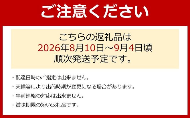 ［先行予約］［数量限定］梨とたなねし巨峰の詰め合わせ 約2kg　★2026年8月中旬頃より順次発送 BZ127