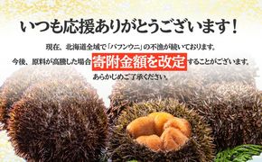 【ふるプレ限定品】訳あり 北海道 噴火湾産 塩水 バフンウニ 100g 2パック 計200g うに ウニ 雲丹 海鮮 海の幸 魚介類 ウニ丼 お寿司 濃厚 無添加 産地直送 お取り寄せ 山村水産 送料無料 【55250812】
