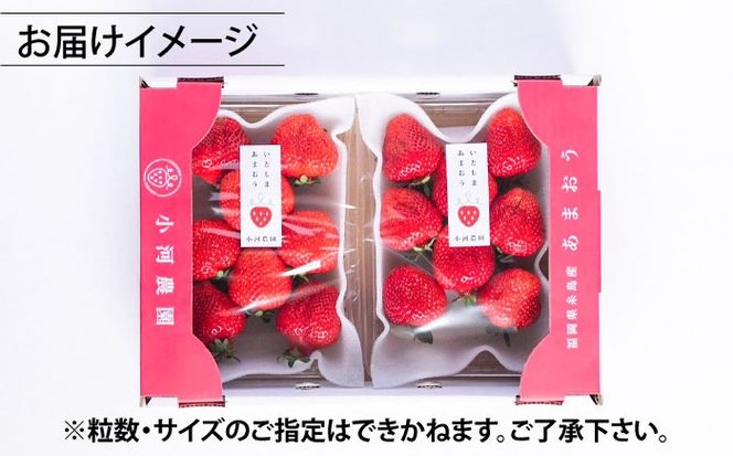 【先行受付】農家直送！ 糸島産 完熟あまおう 280g×2パック (S-Gサイズ) 【2026年3月以降順次発送】糸島市 / 小河農園 フルーツ 果物 いちご イチゴ 苺[AJN003]