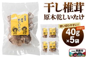 干し椎茸 原木乾しいたけ 40g×5袋 男鹿産 男鹿ゴルフクラブ [しいたけ 椎茸 シイタケ 乾物]|23_ogg-040501