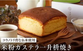 【コウノトリ育むお米使用】米粉カステラ一升枡焼き