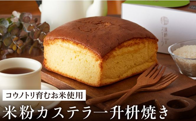 【コウノトリ育むお米使用】米粉カステラ一升枡焼き
