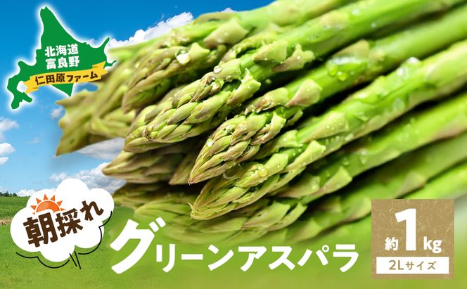 【2026年4月～発送】朝採り 富良野市 グリーン アスパラ 2Lサイズ  約1kg  (仁田原ファーム) 野菜 新鮮 太い 直送 朝採り アスパラガス 道産 北海道 ふらの