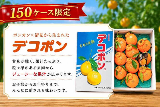 【2027年3月中旬より発送開始】【木なり完熟】デコポン 3kg 150ケース限定【みかん 柑橘 清美 ポンカン フルーツ デザート】(H116148)