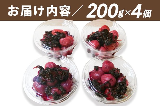  梅漬け（赤しそ入り） 200×4個 自家製 秋田県 北秋田阿仁産 [自家製 手作り 梅干し 梅漬け 漬け物]|jang-010401