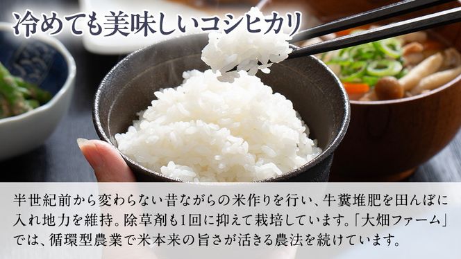 【 ファーム大畑 】お楽しみセット 米 お米 しいたけパウダー しいたけ 椎茸 まろ福しいたけ きくらげ [AK001ci]