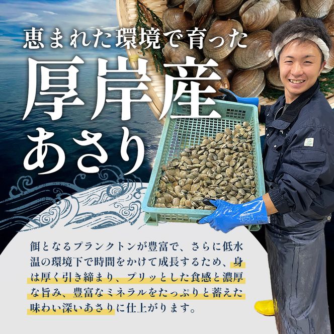 あさり 北海道 厚岸産 北海あさり 2kg (500g×4パック) 砂出し済み アサリ 魚介 貝 海鮮 
