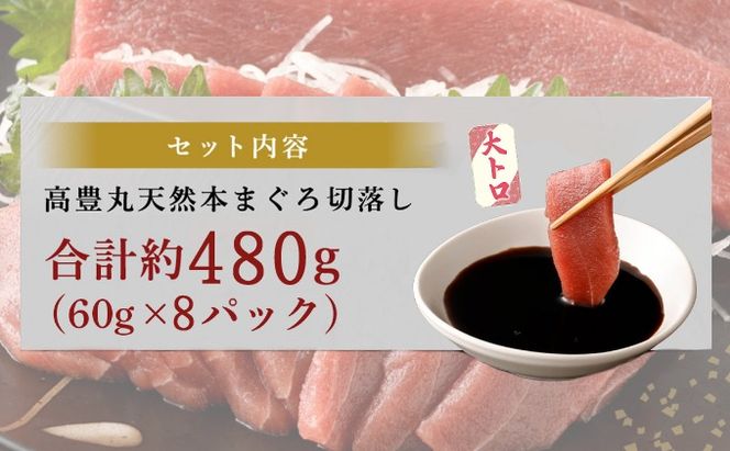 《 天然本まぐろ 》 大トロ 切落し 【ちょこっとパック】480g（60g×8パック） 大トロ 天然まぐろ 本マグロ まぐろ 鮪 マグロ お手軽 食べきりサイズ 切り落とし お刺身 魚介類 海鮮 小分け 魚 魚貝 高知 簡単 簡単調理 惣菜 冷凍 室戸の本マグロ tk103