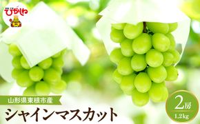 【2026年産】 シャインマスカット 約1.2kg (2房入) 山形県 東根市 hi026-054