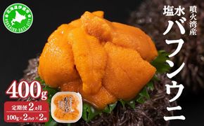 【定期便2カ月】北海道 噴火湾産 塩水 バフンウニ 100g 2パック うに ウニ 雲丹 海鮮 海の幸 魚介類 ウニ丼 お寿司 濃厚 無添加 産地直送 産直 お取り寄せ 山村水産 送料無料 【55250990】