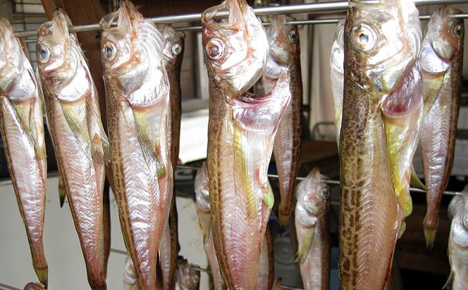 ハタハタ（特々大）干物 一夜干し 450g ×1箱【配送不可：離島】 魚貝類