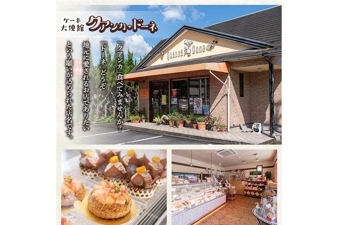濃厚ショコラ・チーズケーキ (合計10個・2種×5個) チーズケーキ チーズ スイーツ 冷凍 お菓子 おやつ 焼き菓子 お取り寄せ 大分県 佐伯市【AJ75】【(有)ケーキ大使館クアンカ・ド－ネ】