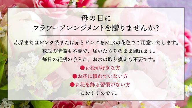 【 母の日 】 フラワー アレンジメント M 赤・ピンク 系 ギフト プレゼント 花 お祝い 贈答 記念日 インテリア [CT082ci01]