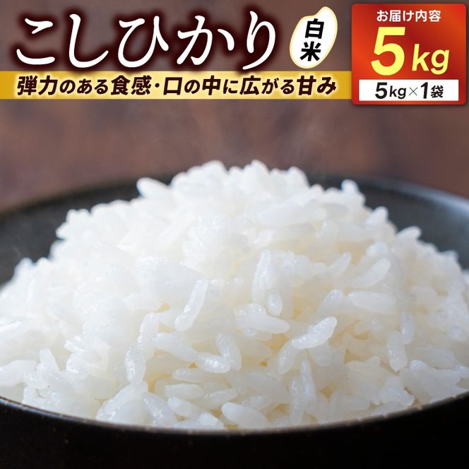 ＼先行予約・12月発送／山﨑観光農園のお米　コシヒカリ　白米5kg｜栃木県 益子町 ふるさと納税 お米 米 白米 精米 5kg（AU014-12）