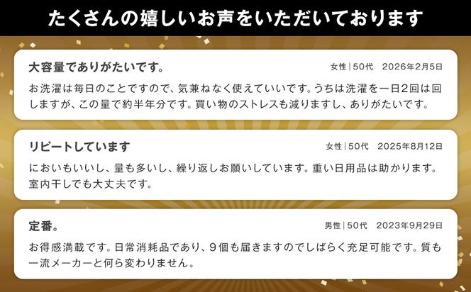 【ふるさと納税専売品】 詰替用 液体洗剤 デオスタイル 1.65kg×9個 大容量 衣類用 洗濯用洗剤 洗剤 洗濯 衣類用洗剤 液体 詰め替え
