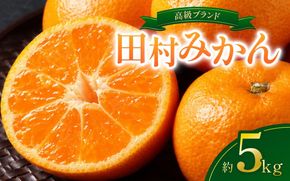 高級ブランド田村みかん　5kg【予約】※2026年11月下旬～2027年1月下旬頃に順次発送予定(お届け日指定不可)【uot504B】
