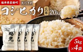 【10月お届け】令和8年産 若狭町コシヒカリ玄米20kg 米 お米 こしひかり 福井県