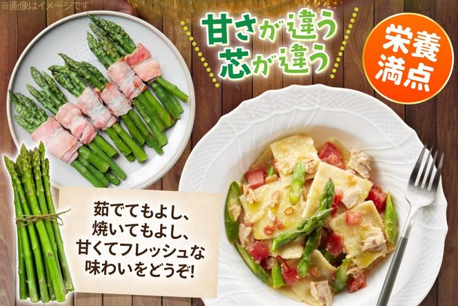 【期間限定発送】 アスパラ グリーンアスパラガス L 1kg [ファームいまむら 福岡県 筑紫野市 21761485] アスパラガス グリーンアスパラ 野菜
