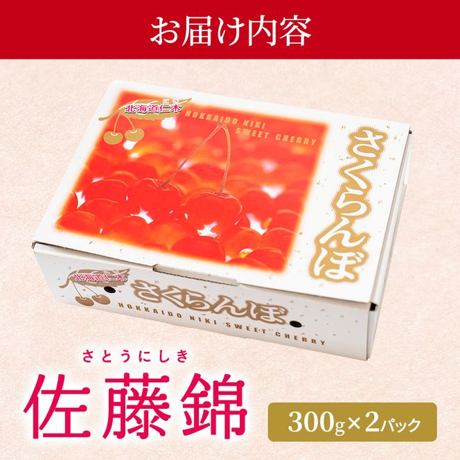 2027年発送 さくらんぼ 佐藤錦 600g (300g×2P) Lサイズ 北海道 仁木町　国産 旬のフルーツ 旬の果物 デザートサクランボ チェリー フルーツ 果物 果物類 仁木 [カムナビファーム]