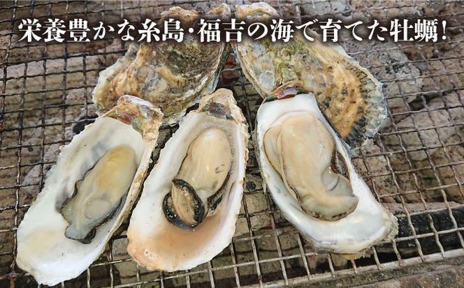 加熱用 福吉の牡蠣 殻付き 5kg (簡易 ナイフ 付き) 福岡県 糸島産 糸島 / かきの阿部 飛龍丸[AZB003]