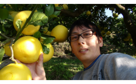 【訳あり】三愛果樹園の土佐文旦　約5kg【三愛果樹園】 [BQAO010]