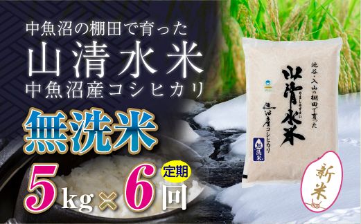 【令和8年産 新米】 【定期便／全6回】無洗米5kg　新潟県魚沼産コシヒカリ「山清水米」十日町市 米