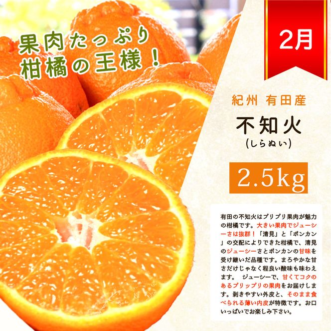 【全4回】紀州和歌山産旬のフルーツセット(巨峰・シャイン・みかん・不知火) / 果物定期便 フルーツ定期便 みかん オレンジ 柑橘 くだもの 果物 シャイン マスカット ぶどう 巨峰 しらぬい 不知火