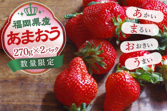 【2月15日～3月31日順次発送】福岡県産いちご「あまおう」270g×2パック【hurrah.】_HA1972