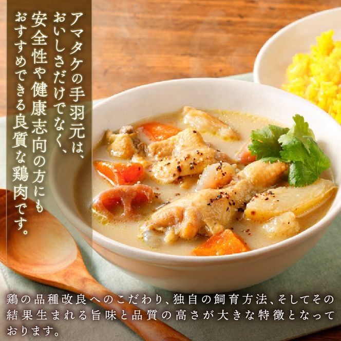 ゴロゴロ野菜のスープカレー 3袋 常温保存 レンジ 温めるだけ カレー 手羽 鶏肉 チキン 常温 備蓄 非常食 災害 被災 おかず すーぷ 小分け タンパク質 朝食 アマタケ 岩手県 大船渡市