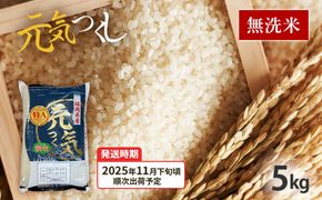 令和7年産　福岡県産ブランド米「元気つくし」無洗米　5kg【11月下旬頃より順次出荷予定】