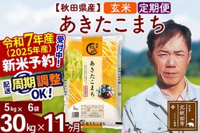 ※令和7年産 新米予約※《定期便11ヶ月》秋田県産 あきたこまち 30kg【玄米】(5kg小分け袋) 2025年産 お届け周期調整可能 隔月に調整OK お米 みそらファーム|msrf-22311