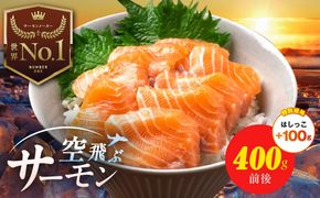 010B1647-2 【特別規格】アトランティック サーモン 400g＋はしっこ100g【エコパック 小分け 訳あり サイズ不揃い 刺身 さーもん 冷凍 北国からの贈り物】