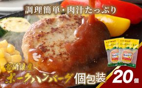 宮崎県産 ポークハンバーグ個包装(20個/冷凍)　K16_0164