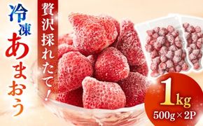 【農家直送！】 冷凍あまおう 1kg（500g×2パック）いちご 苺 糸島市 / みのりのりん[ABD006]