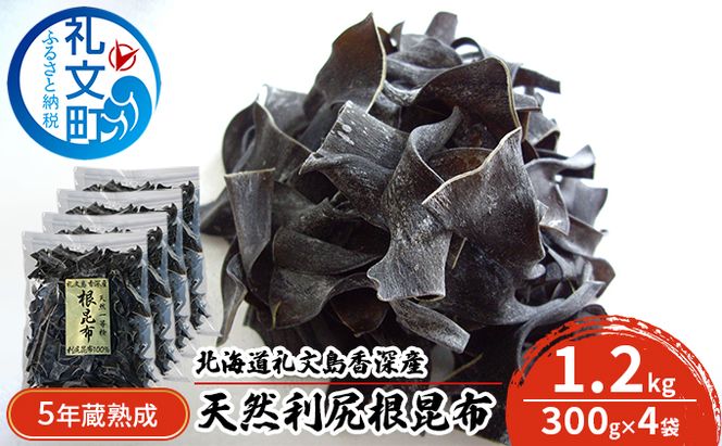 北海道 礼文島 香深産 希少 一等検 5年蔵熟成 天然 利尻根昆布 300g×4袋［野崎水産］【 昆布 根昆布 根こんぶ だし昆布 出汁 利尻昆布 熟成 根昆布水 海藻 】