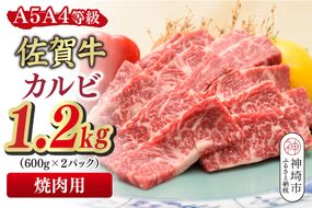 佐賀牛 カルビ 焼肉用 1.2kg(600g×2)【A4～A5ランク】【希少 国産和牛 牛肉 肉 牛 焼肉】(H085207)