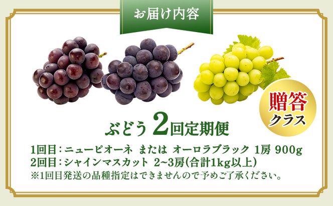 ぶどう 2026年 先行予約 贈答クラス 2回 定期便 ピオーネ オーロラブラック シャインマスカット ブドウ 葡萄 岡山県産 国産 フルーツ 果物 ギフト OEC KINGDOM ぶどう家 果物類