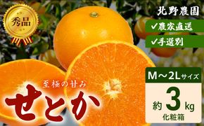 DZ6206_秀品　せとか 和歌山　有田 化粧箱 M～2Lサイズ 大きさお任せ 3kg