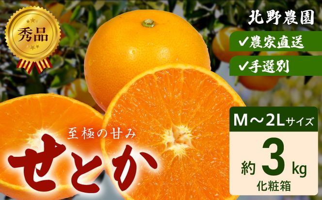 DZ6206_秀品　せとか 和歌山　有田 化粧箱 M～2Lサイズ 大きさお任せ 3kg