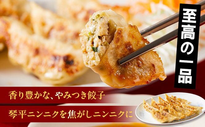 琴平ニンニク餃子　1袋 372013_MR002